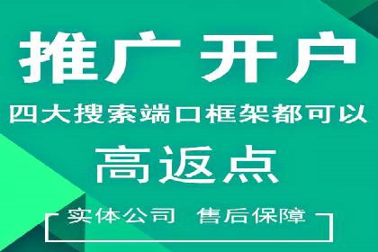 深度解析：某品牌如何通过百度推广提升销售额